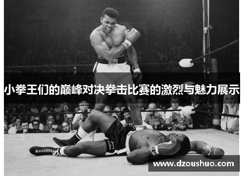 小拳王们的巅峰对决拳击比赛的激烈与魅力展示