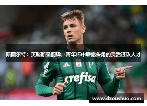 斯图尔特：英超新星前锋，青年杯中崭露头角的灵活进攻人才